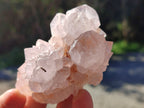 Natural White Cactus Spirit Amethyst Clusters x 6 From South Africa - Toprock Gemstones and Minerals 