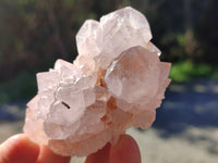 Natural White Cactus Spirit Amethyst Clusters x 6 From South Africa