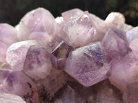 Natural Jacaranda Amethyst Quartz Cluster x 1 From Mumbwa, Zambia