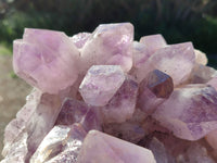 Natural Jacaranda Amethyst Quartz Cluster x 1 From Mumbwa, Zambia