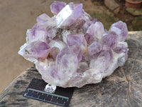 Natural Jacaranda Amethyst Quartz Cluster x 1 From Mumbwa, Zambia