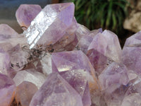 Natural Jacaranda Amethyst Quartz Cluster x 1 From Mumbwa, Zambia