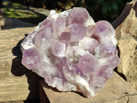 Natural Jacaranda Amethyst Quartz Cluster x 1 From Mumbwa, Zambia
