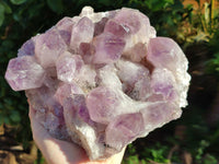 Natural Jacaranda Amethyst Quartz Cluster x 1 From Mumbwa, Zambia