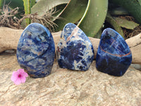 Polished Sodalite Standing Free Forms x 3 From Kunene River, Namibia