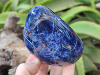 Polished Sodalite Standing Free Forms x 3 From Kunene River, Namibia