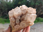Natural Phantom Quartz Clusters x 2 From Luena, Congo - Toprock Gemstones and Minerals 