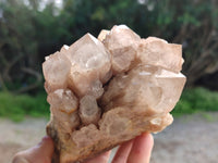Natural Phantom Quartz Clusters x 2 From Luena, Congo