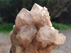 Natural Phantom Quartz Clusters x 2 From Luena, Congo - Toprock Gemstones and Minerals 