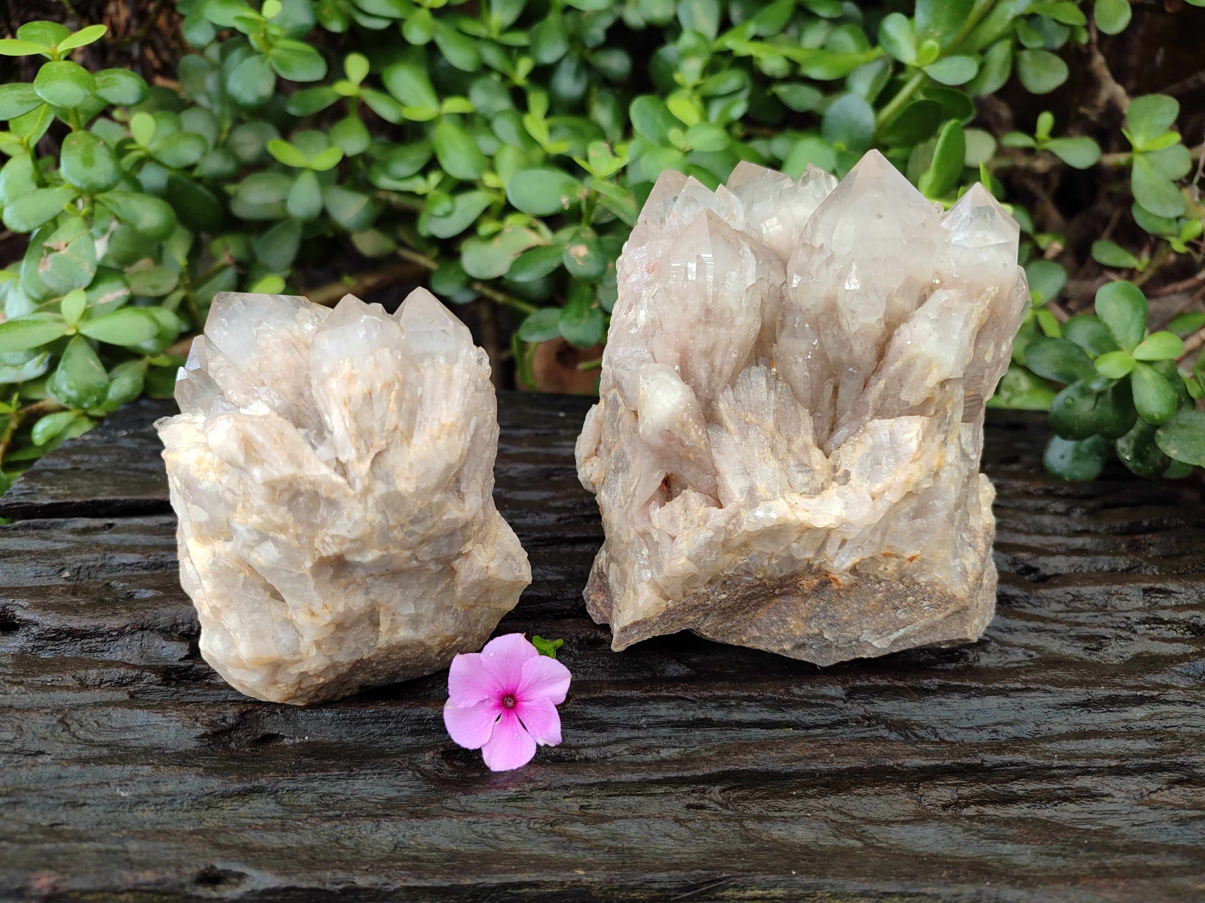 Natural Phantom Quartz Clusters x 2 From Luena, Congo - Toprock Gemstones and Minerals 