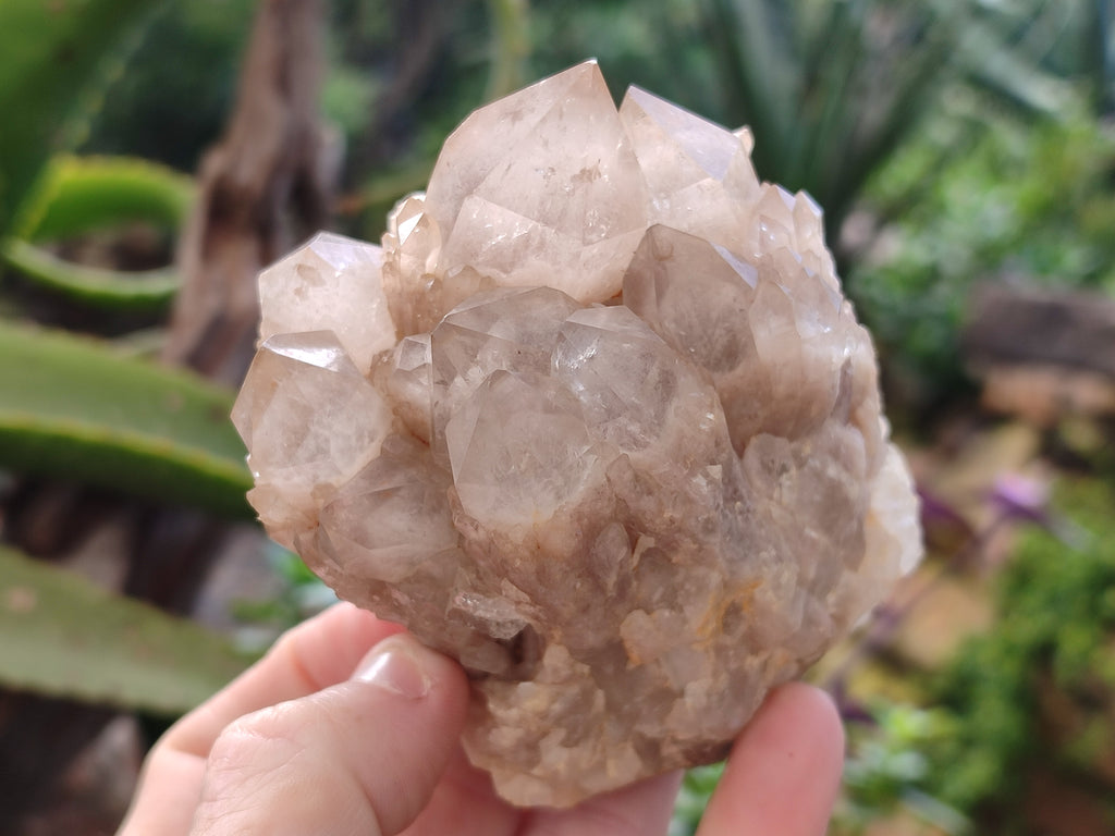 Natural Phantom Quartz Clusters x 2 From Luena, Congo - Toprock Gemstones and Minerals 