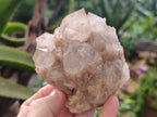 Natural Phantom Quartz Clusters x 2 From Luena, Congo - Toprock Gemstones and Minerals 