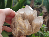 Natural Phantom Quartz Clusters x 2 From Luena, Congo