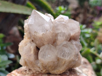 Natural Phantom Quartz Clusters x 2 From Luena, Congo