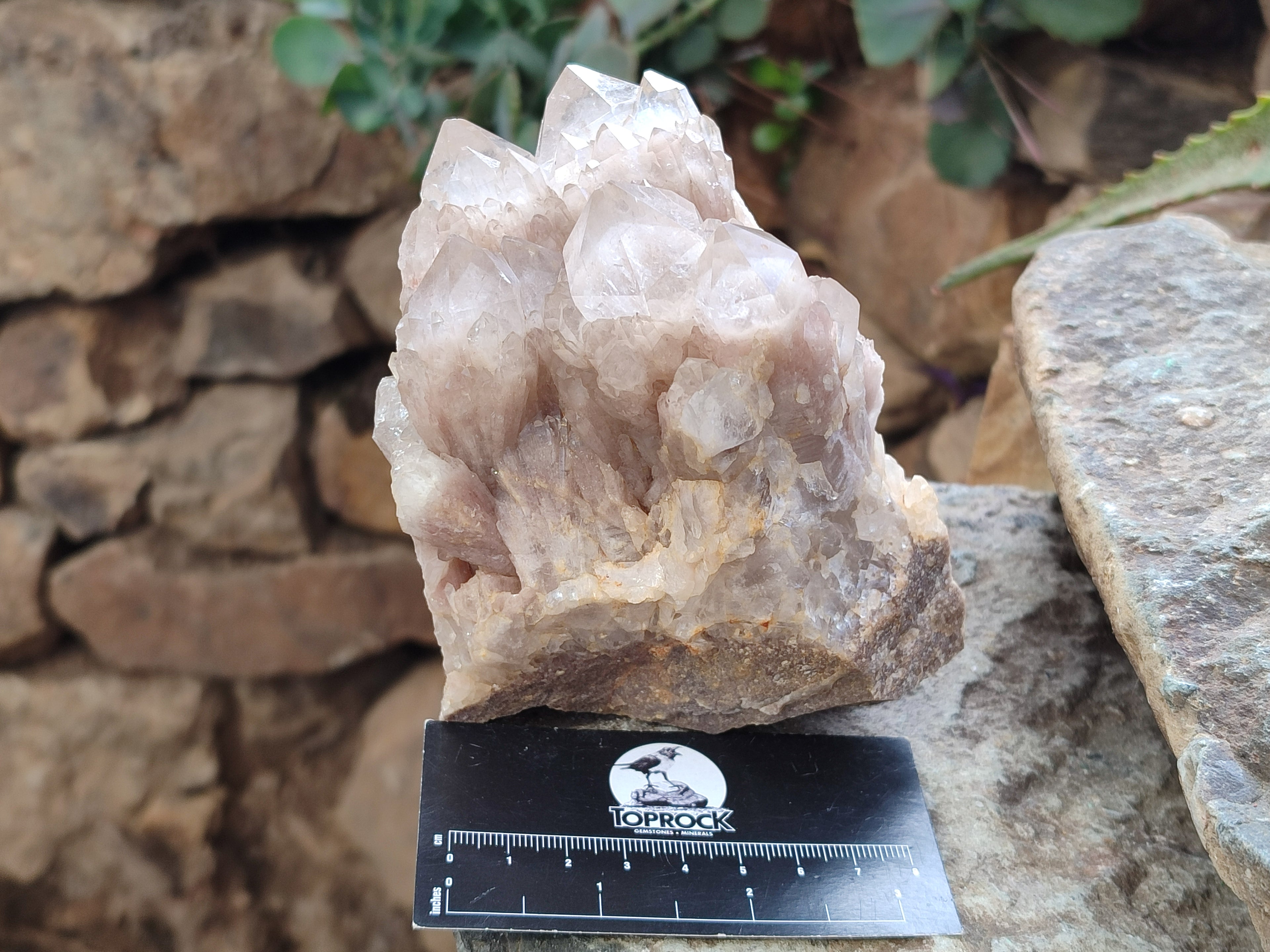 Natural Phantom Quartz Clusters x 2 From Luena, Congo - Toprock Gemstones and Minerals 