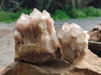 Natural Phantom Quartz Clusters x 2 From Luena, Congo