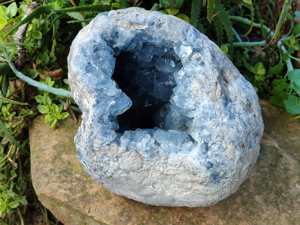 Natural Extra Large Celestite Geode Specimen x 1 From Sakoany, Madagascar - Toprock Gemstones and Minerals 