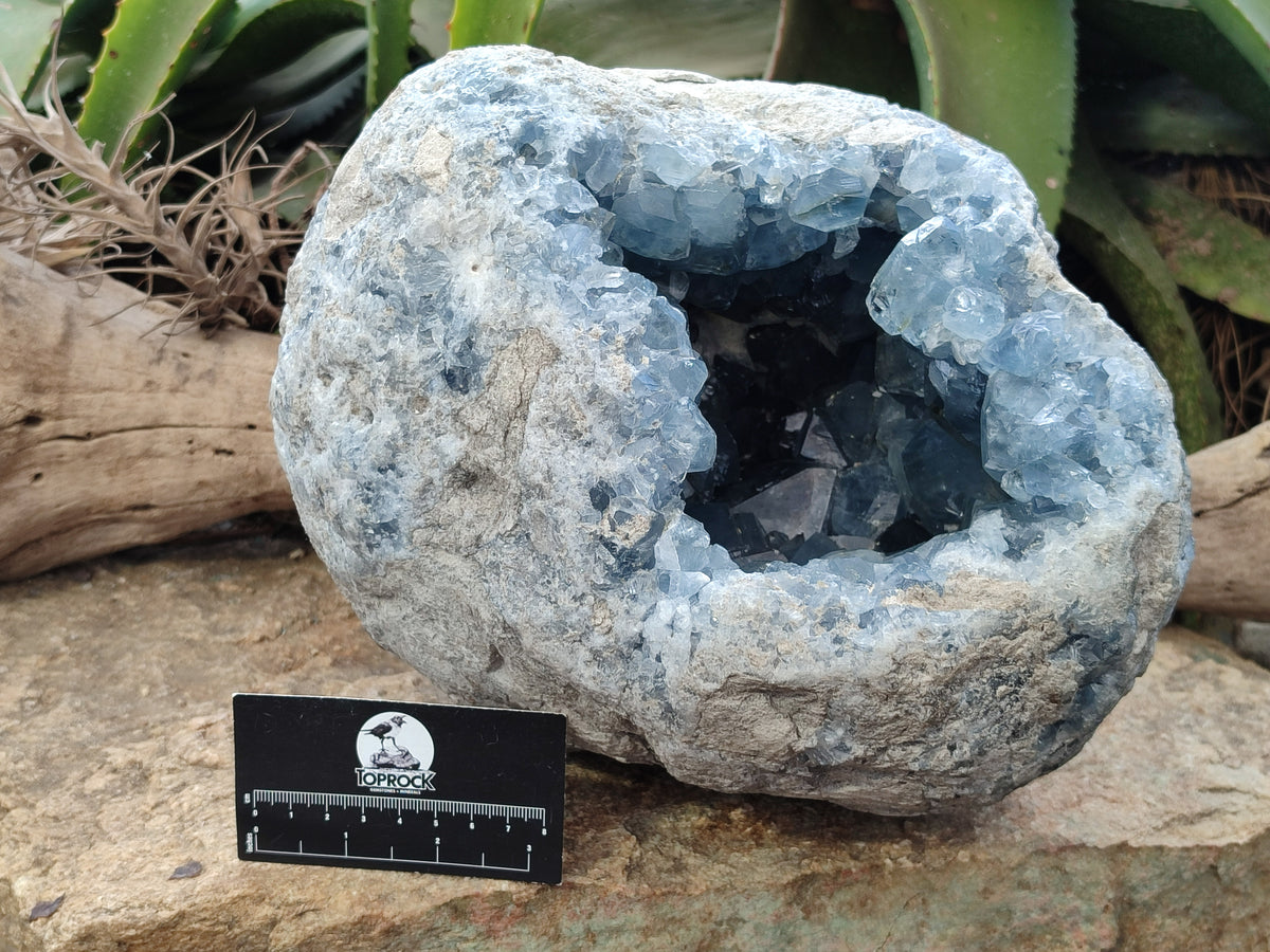 Natural Extra Large Celestite Geode Specimen x 1 From Sakoany, Madagascar - Toprock Gemstones and Minerals 