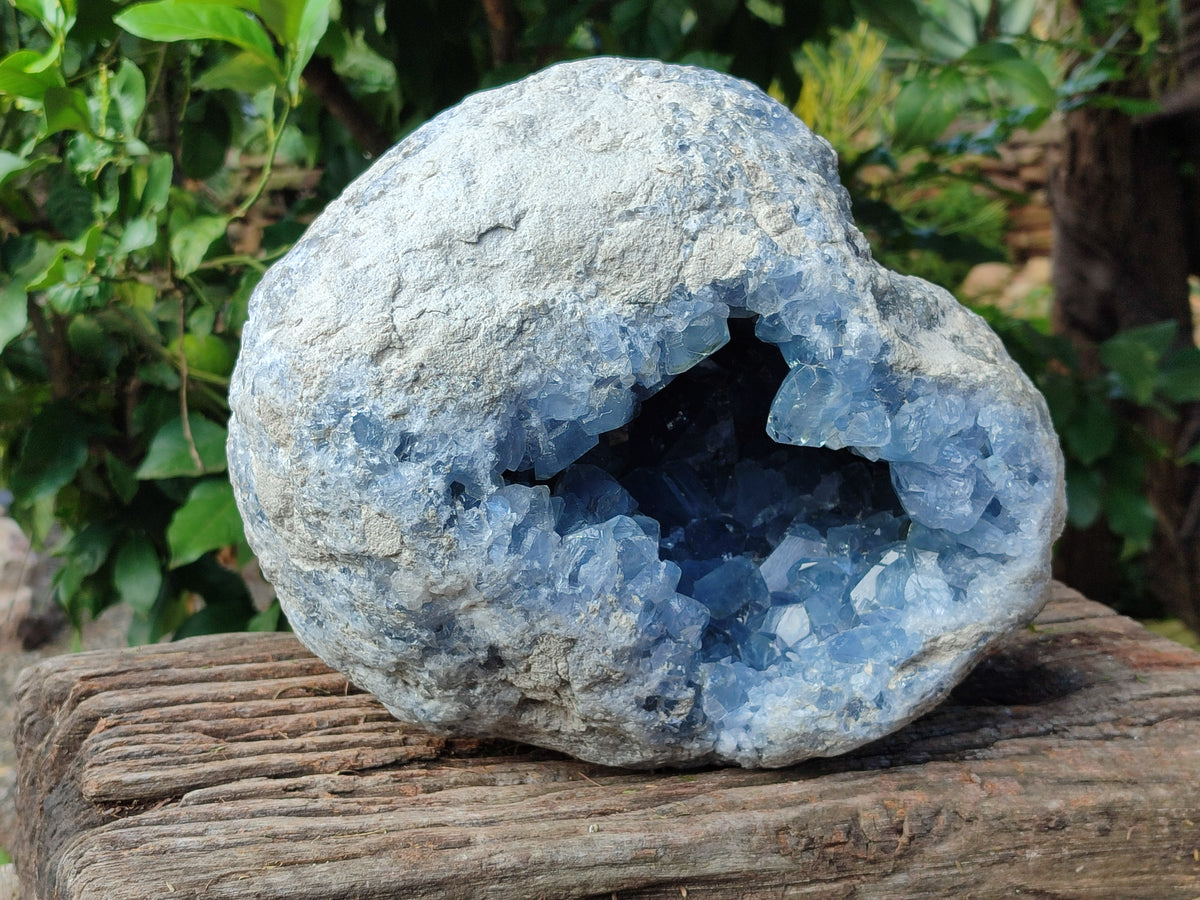 Natural Extra Large Celestite Geode Specimen x 1 From Sakoany, Madagascar - Toprock Gemstones and Minerals 
