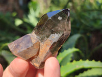 Polished Mixed Quartz Points Including Citrine x 6 from Madagascar