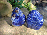 Polished Sodalite Standing Free Forms x 3 From Kunene River, Namibia