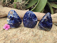 Polished Sodalite Standing Free Forms x 3 From Kunene River, Namibia