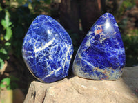Polished Sodalite Standing Free Forms x 3 From Kunene River, Namibia