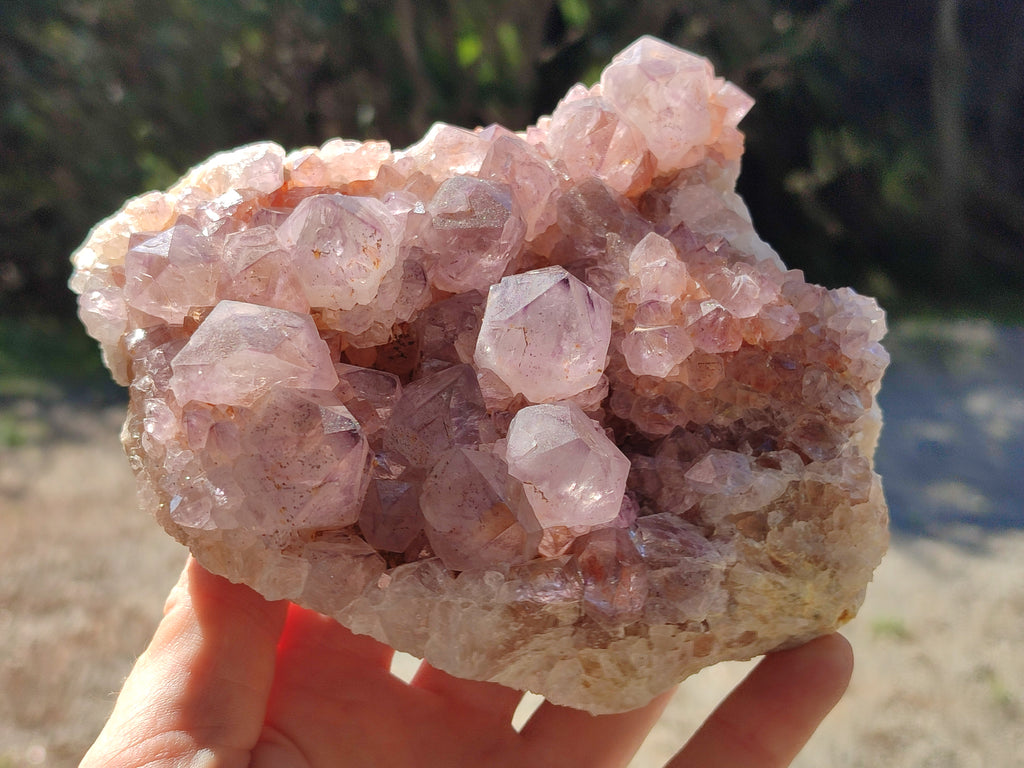 Natural Cactus Flower Sunburst Spirit Amethyst Clusters x 2 From South Africa - Toprock Gemstones and Minerals 
