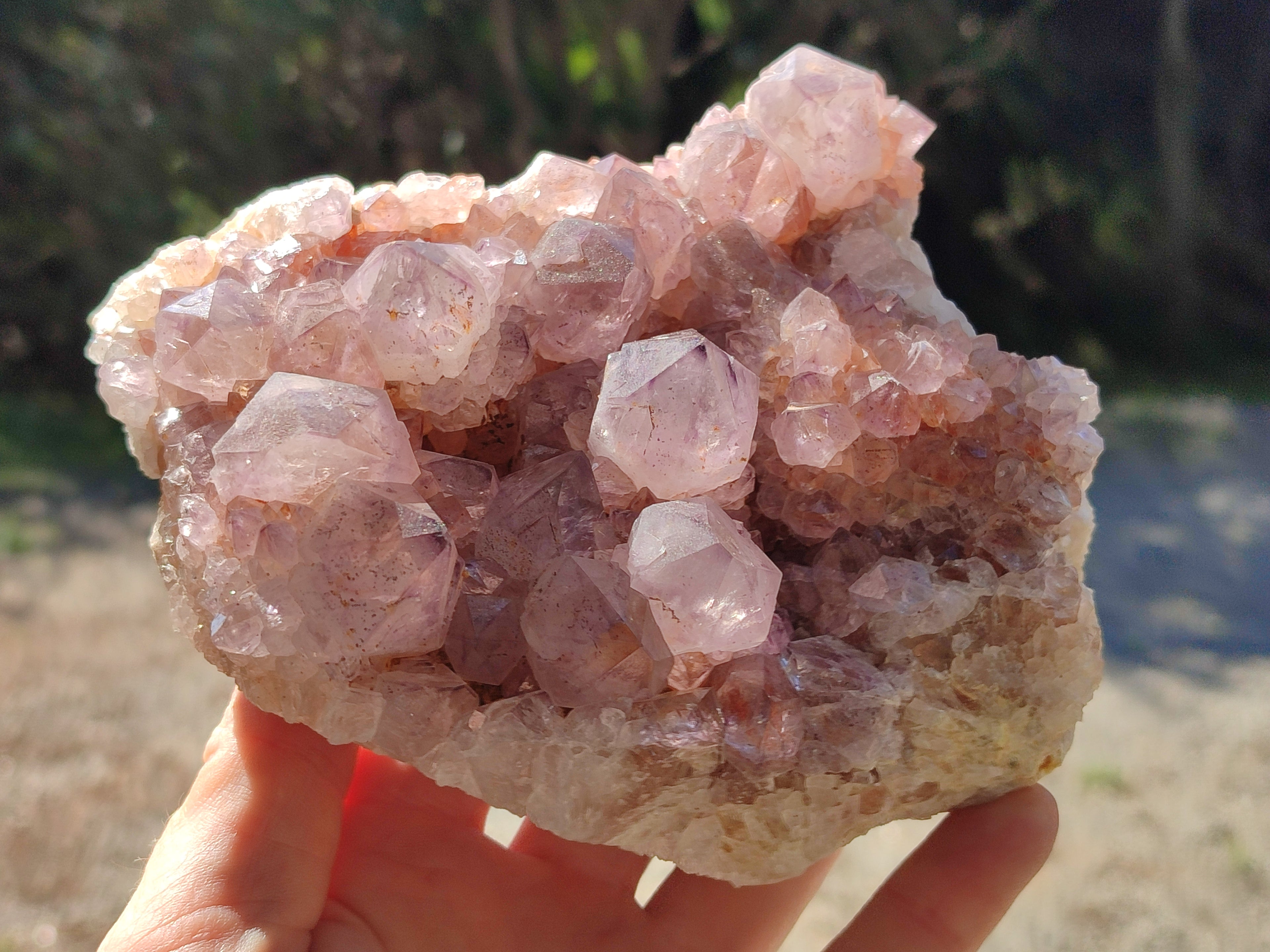 Natural Cactus Flower Sunburst Spirit Amethyst Clusters x 2 From South Africa - Toprock Gemstones and Minerals 