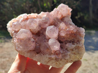 Natural Cactus Flower Sunburst Spirit Amethyst Clusters x 2 From South Africa