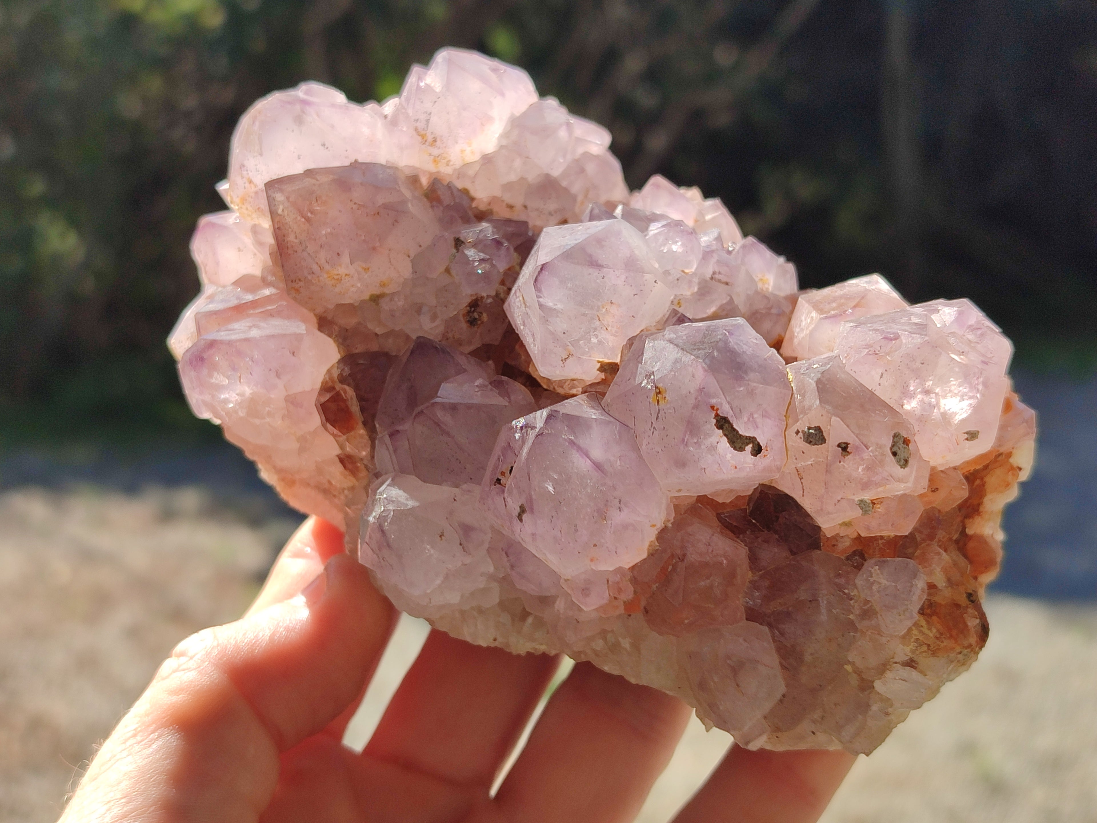 Natural Cactus Flower Sunburst Spirit Amethyst Clusters x 2 From South Africa - Toprock Gemstones and Minerals 