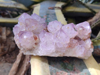 Natural Cactus Flower Sunburst Spirit Amethyst Clusters x 2 From South Africa