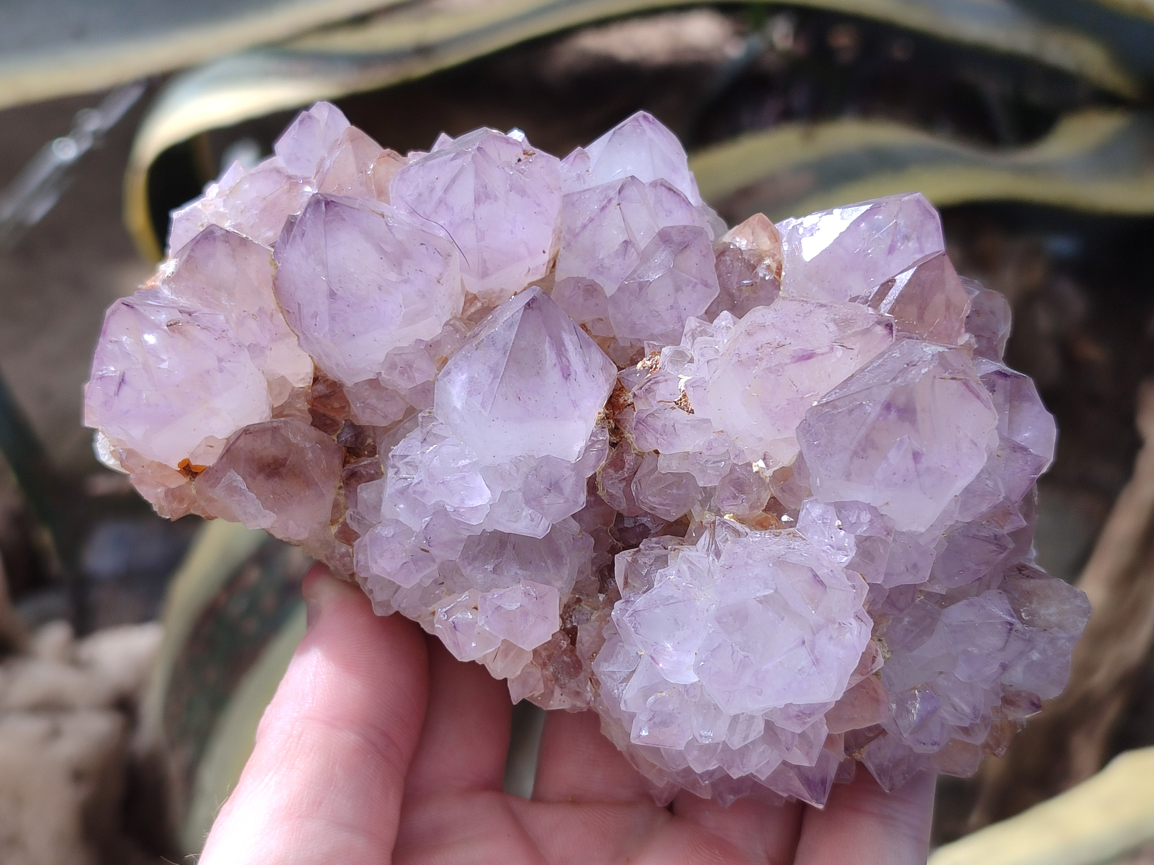 Natural Cactus Flower Sunburst Spirit Amethyst Clusters x 2 From South Africa - Toprock Gemstones and Minerals 