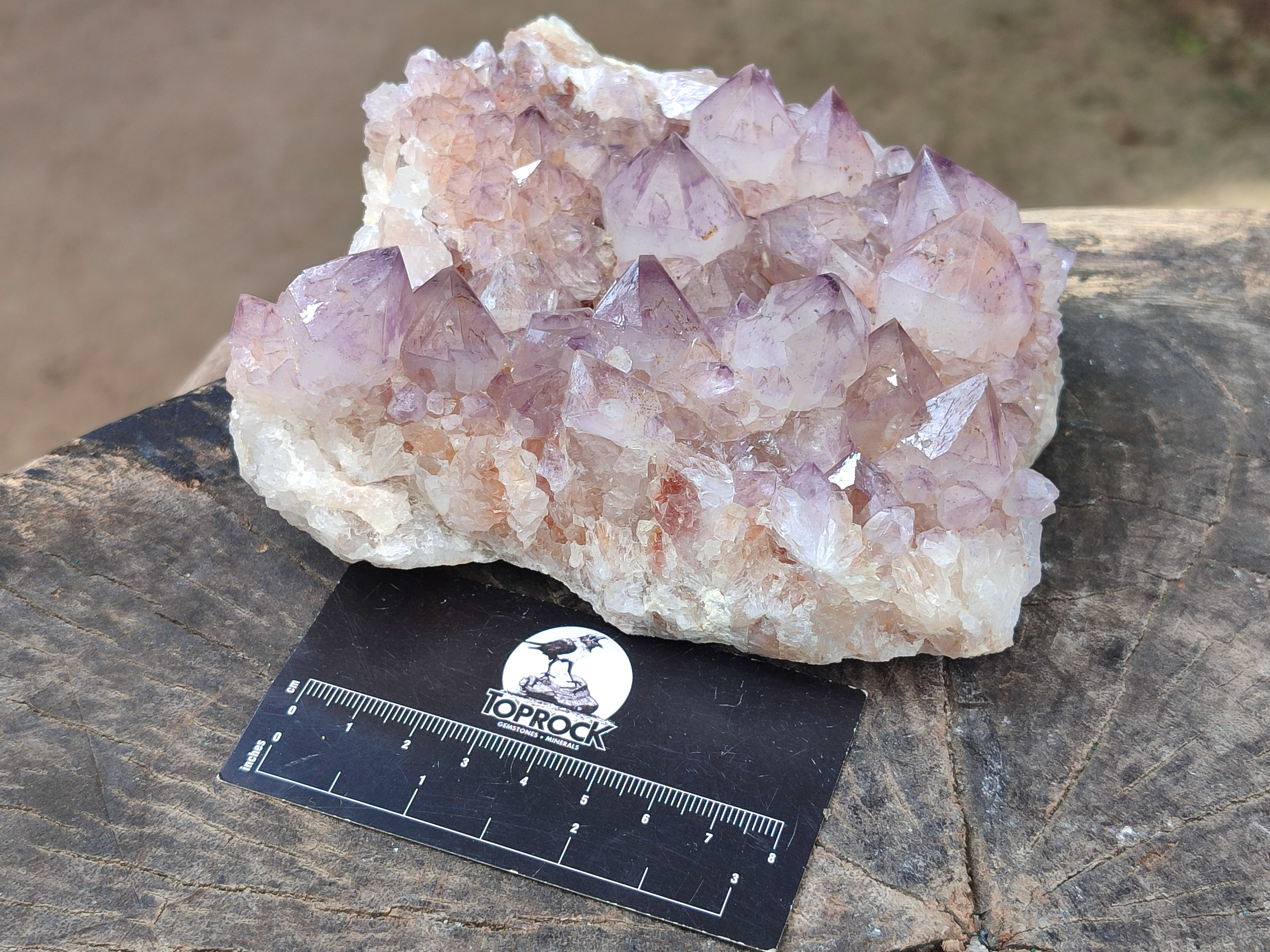 Natural Cactus Flower Sunburst Spirit Amethyst Clusters x 2 From South Africa - Toprock Gemstones and Minerals 
