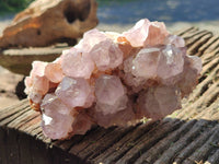 Natural Cactus Flower Sunburst Spirit Amethyst Clusters x 2 From South Africa