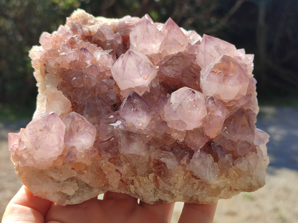 Natural Cactus Flower Sunburst Spirit Amethyst Clusters x 2 From South Africa - Toprock Gemstones and Minerals 