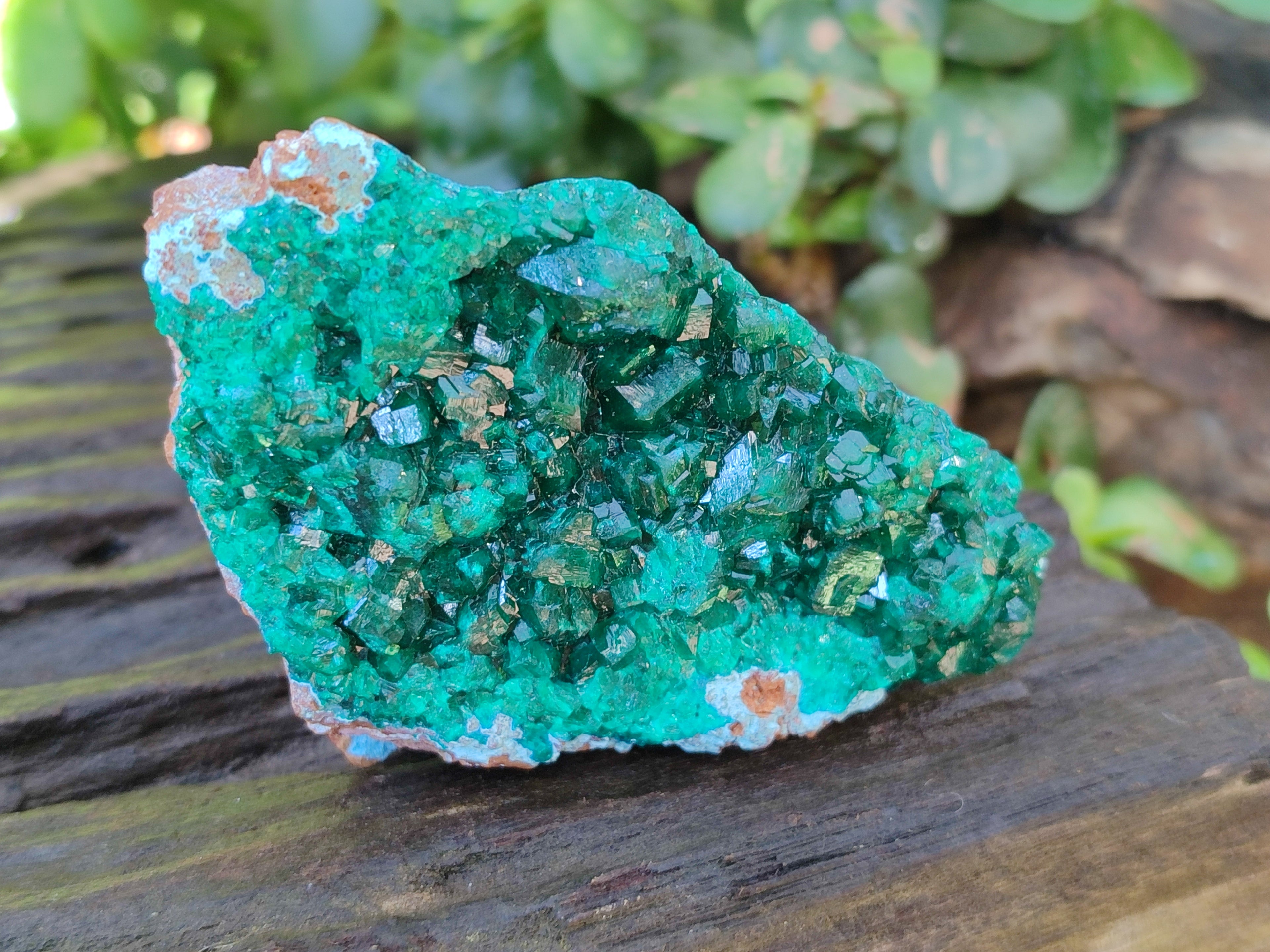 Natural Dioptase on Dolomite Matrix Specimens x 6 From Likasi, Congo - Toprock Gemstones and Minerals 