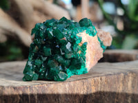 Natural Dioptase on Dolomite Matrix Specimens x 6 From Likasi, Congo