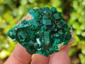 Natural Dioptase on Dolomite Matrix Specimens x 6 From Likasi, Congo - Toprock Gemstones and Minerals 
