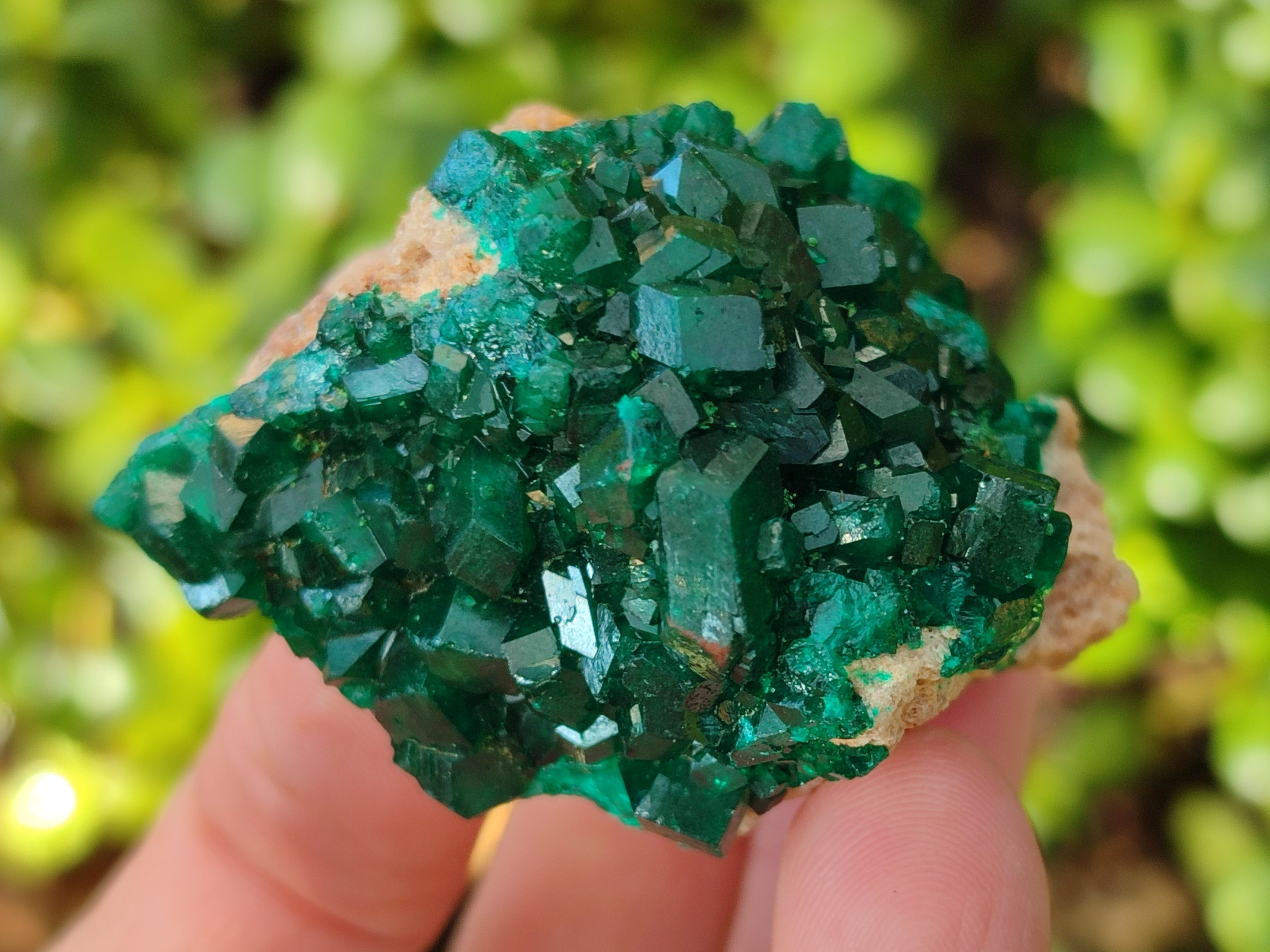 Natural Dioptase on Dolomite Matrix Specimens x 6 From Likasi, Congo - Toprock Gemstones and Minerals 