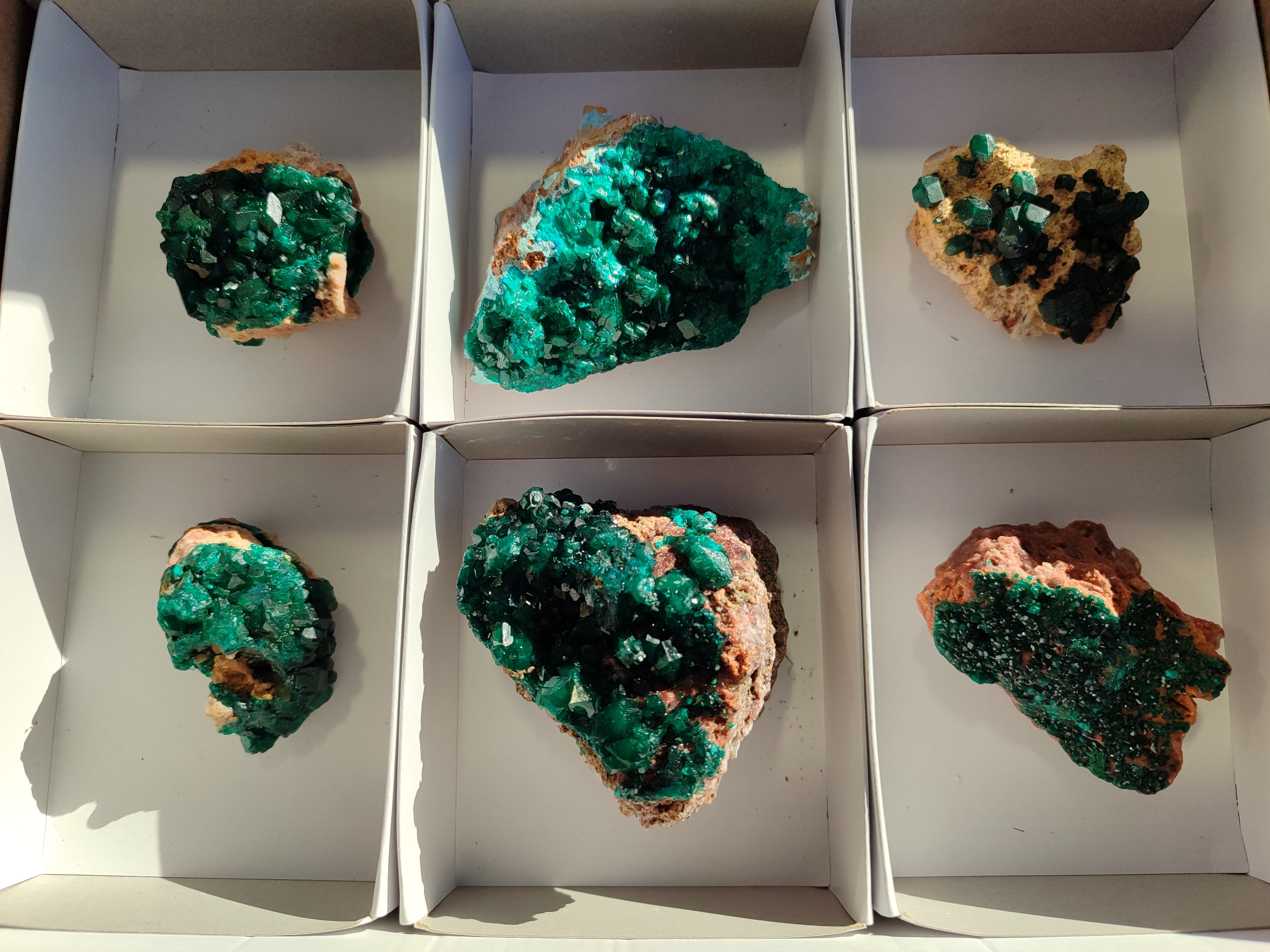 Natural Dioptase on Dolomite Matrix Specimens x 6 From Likasi, Congo - Toprock Gemstones and Minerals 