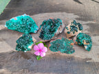 Natural Dioptase on Dolomite Matrix Specimens x 6 From Likasi, Congo - Toprock Gemstones and Minerals 