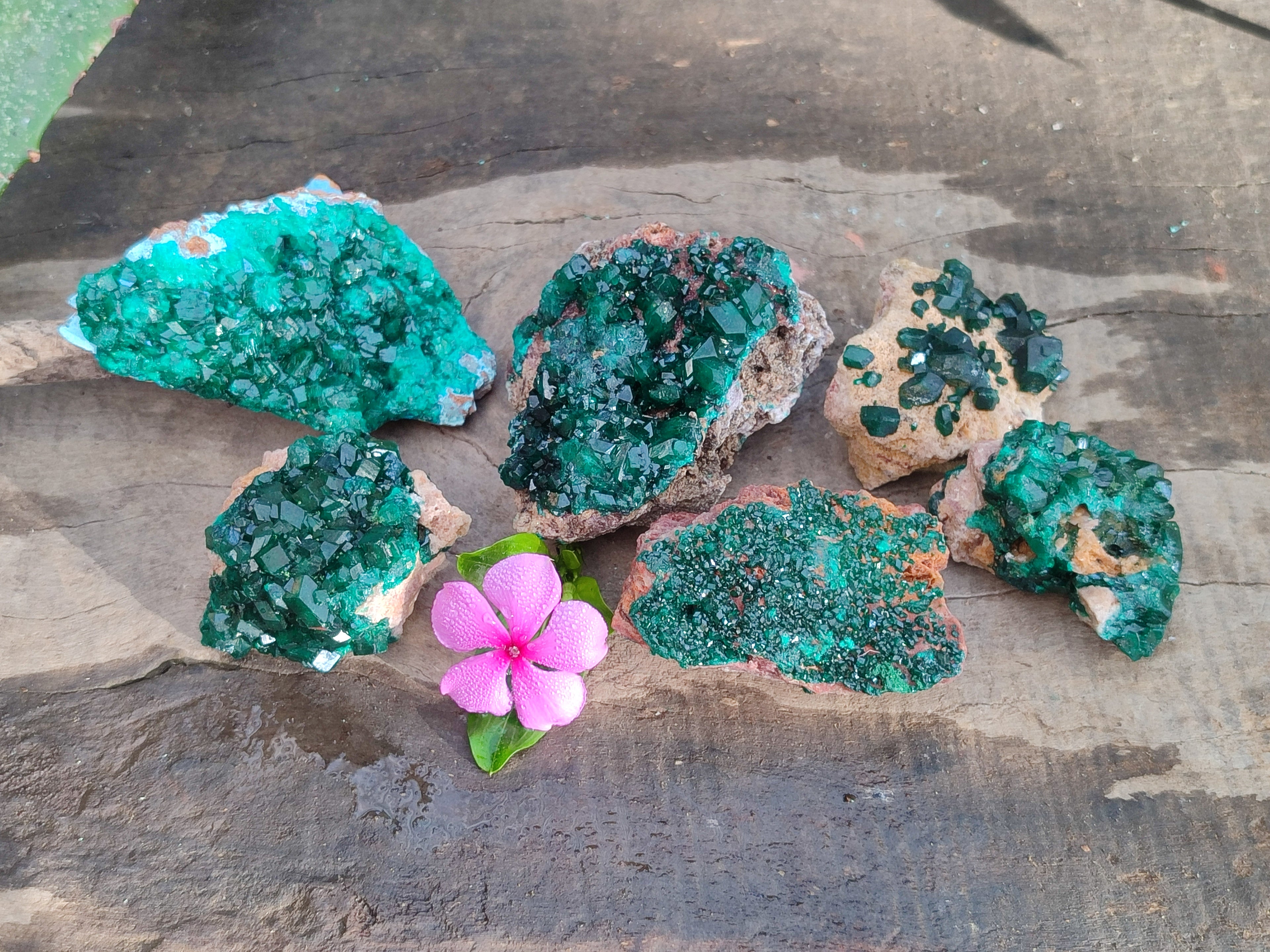 Natural Dioptase on Dolomite Matrix Specimens x 6 From Likasi, Congo - Toprock Gemstones and Minerals 