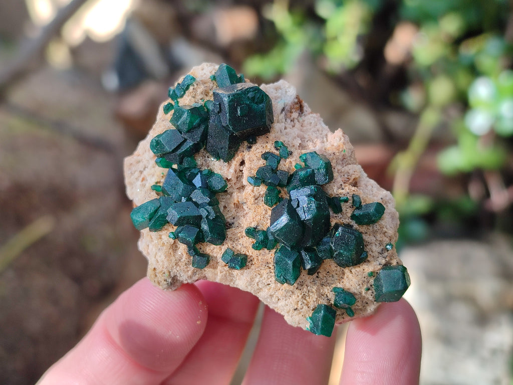 Natural Dioptase on Dolomite Matrix Specimens x 6 From Likasi, Congo - Toprock Gemstones and Minerals 