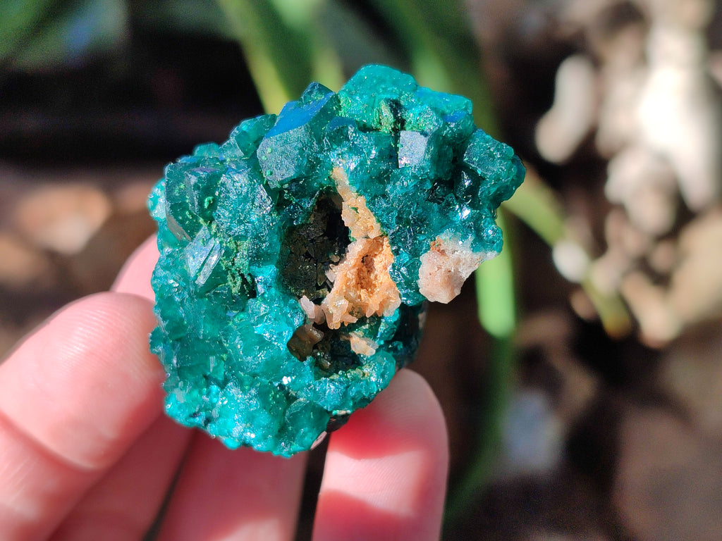 Natural Dioptase on Dolomite Matrix Specimens x 6 From Likasi, Congo - Toprock Gemstones and Minerals 