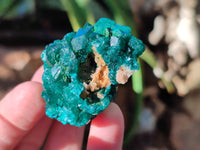 Natural Dioptase on Dolomite Matrix Specimens x 6 From Likasi, Congo