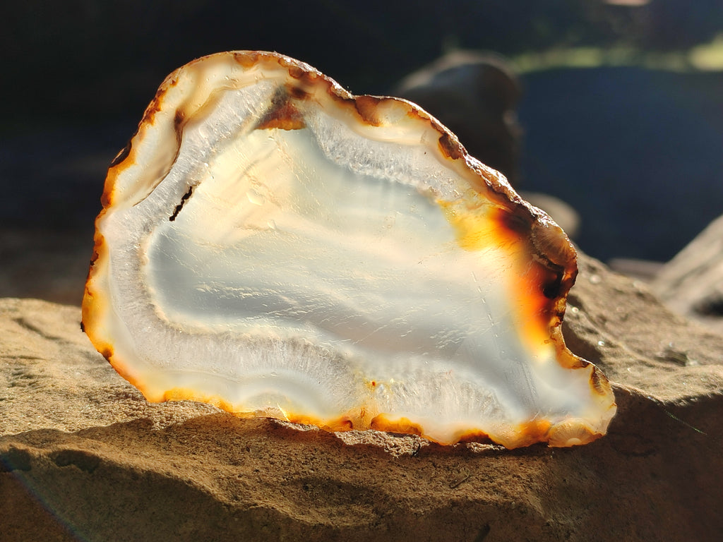 Polished Banded Agate Slices x 24 From Madagascar - Toprock Gemstones and Minerals 