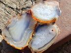 Polished Banded Agate Slices x 24 From Madagascar - Toprock Gemstones and Minerals 