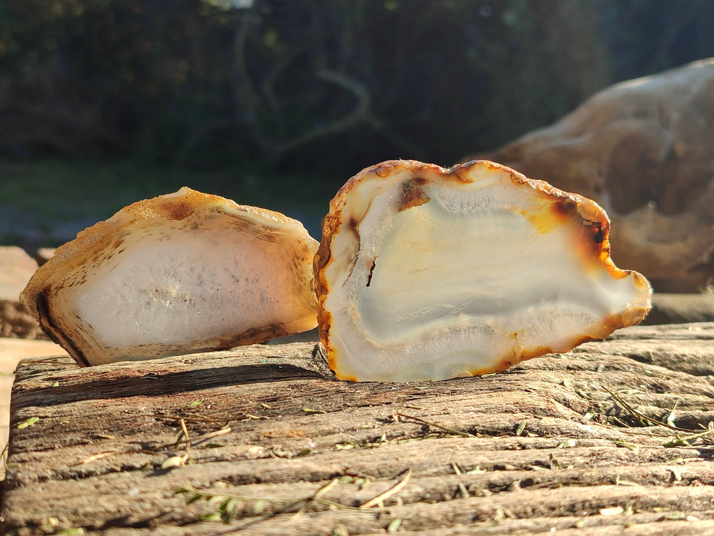 Polished Banded Agate Slices x 24 From Madagascar - Toprock Gemstones and Minerals 