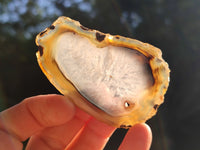 Polished Banded Agate Slices x 24 From Madagascar